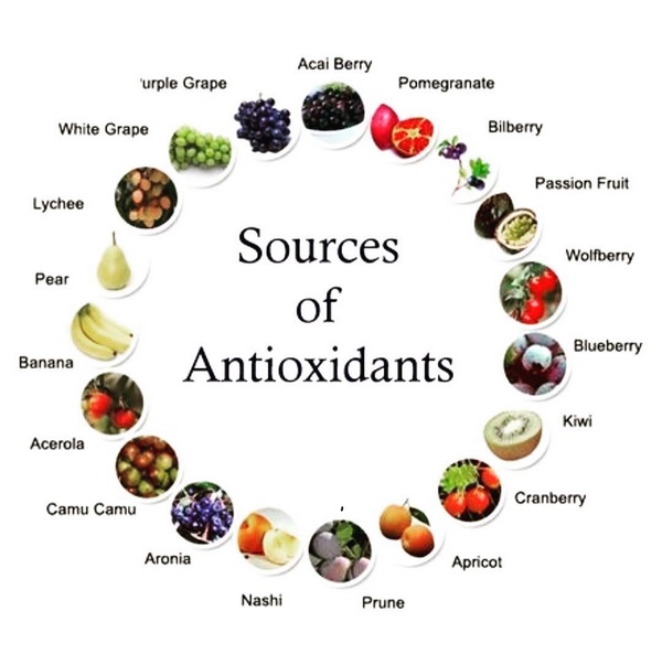 آنتی اکسیدان در چه مواد غذایی وجود دارد